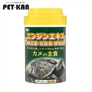 T J a GT Ϗ܋  ANAE CgXC Rbg J̎H 65g[LP]yTCz