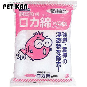 yő400~N[|I炵ɃvXzGEXE[_C [LP]yTCz[2512SX]