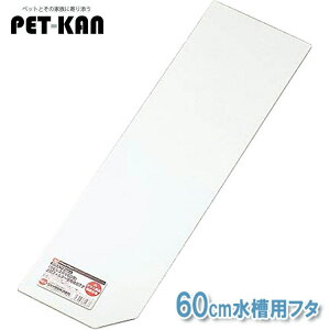 �A�N�A���E�� ���� �K���X �Ϗ܋� GEX�Ɏq�W60A168X567X3MM [LP]�yTC�z