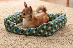ソファベッド角型MサイズPSKJ530レッドグリーンペットベッドベッドペット犬イヌいぬ猫ネコねこあったか秋冬冬用ペット用犬用猫用手洗い洗濯かわいい可愛い肉球足あとスクエア小型犬アイリスオーヤマ