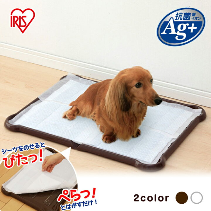 楽天市場 犬 トイレ アイリスオーヤマ シーツぴたっとトレー ワイド トイレトレー ペットトイレ 犬用トイレトレー ペット用 犬用 しつけ 犬用トイレ ペット用トイレ 犬トイレ 簡単取り替え ホワイト ブラウン P Sptw Pet館 ペット館