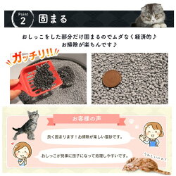 炭の猫砂7L×4袋セット送料無料ネコ砂ねこ砂キャット猫砂燃えるリットル固まるベントナイト消臭脱臭SNS-70アイリスオーヤマまとめ買徳用Pet館ペット館楽天【※目隠し不可※】【★】