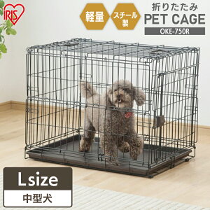  L Q[W P[W ^ ܂肽 ^ Ȉ t OKE-750R ACAubN یL ی쌢 Q[W nEX ^ ^ ^ ܂  hCu o  