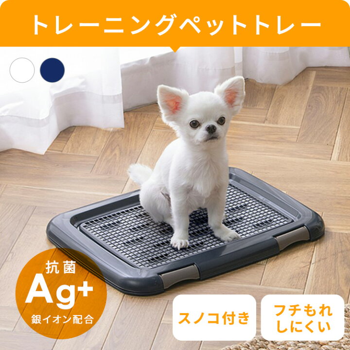 楽天市場】犬 ケージ スターターセット 3点 サークル ケージ ペット 