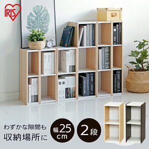 y11Petق̓IzObY LObY ybgObY  ybgV[c L  L xbh [ J[{bNX 2i [{bNX ؐ 25cm×60cm ؖڒ Xy[XJ[{