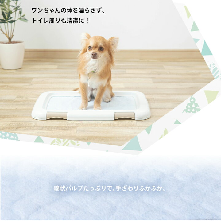 楽天市場】【ネット限定】ペットシーツ ワイド レギュラー スーパーワイド 厚型 ペットシート 大きいサイズ 猫 超吸収 お留守番 レギュラー116枚 ワイド56枚 ダブルワイド24枚 厚型 犬 猫 トイレシート 大容量 トイレシート 多頭飼い 新聞見開きサイズ【あす楽】 : Pet館 ... 楽天市場】【ネット限定】ペットシーツ ワイド レギュラー スーパーワイド 厚型 ペットシート 大きいサイズ 猫 超吸収 お留守番 レギュラー116枚 ワイド56枚 ダブルワイド24枚 厚型 犬 猫 トイレシート 大容量 トイレシート 多頭飼い 新聞見開きサイズ【あす楽】 : Pet館 ...