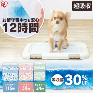 yő400~N[|IɂfCzybgV[c ^ M[TCY 100ChTCY 50 ybgV[g ybgV[c ^  gC V[g ybgpi WEB