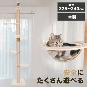 Lbg^[ Lbg^[ Lbg^[ ˂ Lbg^[ ؐ L^[ X  Lbg|[ Lbgx[X  łԂ˂ ^L {rAR