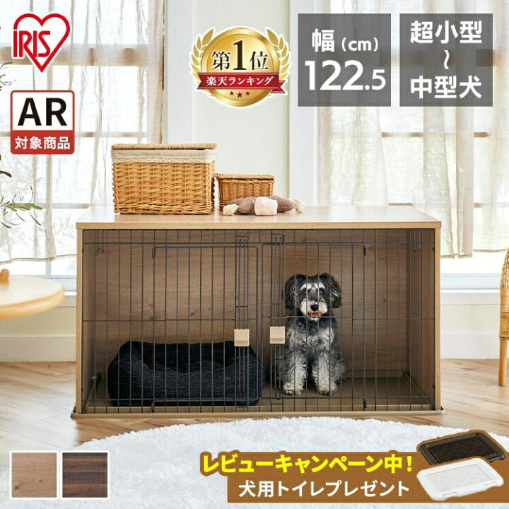 楽天市場】【最大350円クーポン！ワンにゃんデイ】【ARで試し置き 