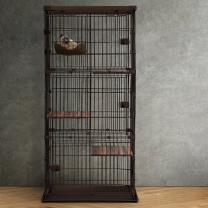 yőP8{̃`X121zL Q[W LbgQ[W 2i 3i  LbgP[W ACXI[} EbfBLbgP[W t@j`[X^CP[W P[W nbN 