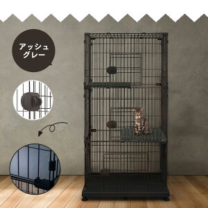 _ARłuI^L P[W 3i LX^[t  LX ^  ybgP[W PEC-903 PEC-903VLpP[W nEX  L Lbg t ACXI[} Vv E