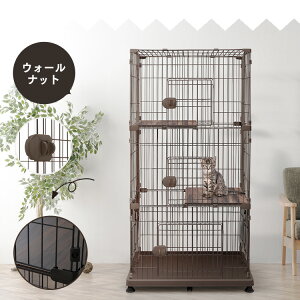 yő400~N[|IɂfCz_ARłuI^L P[W 3i LX^[t  LX ^  ybgP[W PEC-903 PEC-903VLpP[W nEX  L Lbg 