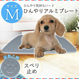 楽天市場 アルミ マット プレート Mの通販