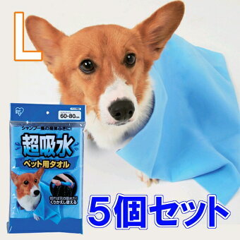 楽天市場 ペット割メンバー限定 エントリーでポイント3倍