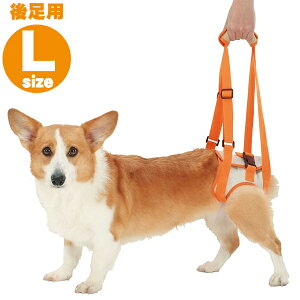 yő400~N[|I炵ɃvXzyeBIiPetioj Vp s⏕n[lX 㑫pK LTCY[TP]yTCz[2512SX]