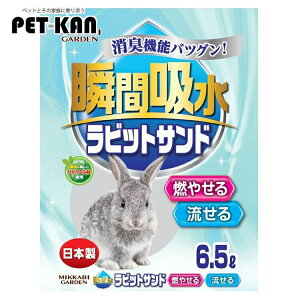 yő400~N[|IɂfCzrbgTh 6.5L gC ETM L gC   R₹ gC e yU5z