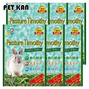 yő400~N[|I炵ɃvXzpX`[`V[ 450g×6 pX`[  t[h q  ybg H nCybg bg v[[ `` fO[