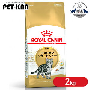 【セットはさらにお得!】ロイヤルカナン 猫 アメリカンショートヘアー 成猫用2個セット 2kg 4kg(2kg×2) 正規品 猫用 キャットフード ドライ カリカリ アダルト 12ヵ月齢以上 12歳まで プレミア