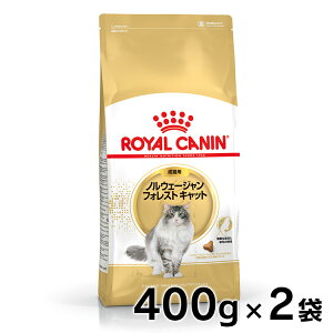 【セットはさらにお得!】ロイヤルカナン ノルウェージャンフォレストキャット 成猫用 400g 正規品 猫用 キャットフード ドライ カリカリ アダルト 成猫 12ヵ月齢以上 12歳まで 大型猫 プレミ