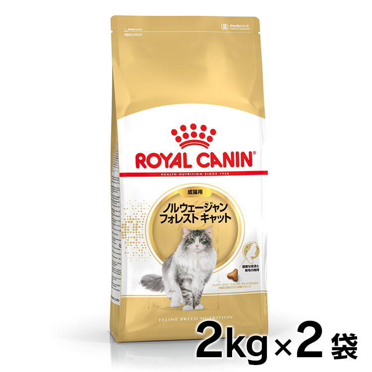 ロイヤルカナン　成猫用　ノルウェージャンフォレストキャット　2kg