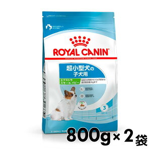 yZbg͂ɂIzCJi GNXgX[ ps[ 800g Wbp[t Ki hbOt[h hC q c 10܂ ^ XX[ v~At[h CJi 