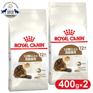 [5%N[|LI111`3]yZbg͂ɂIzCJi Lbg GCWO 12+ 400g Ki Lp Lbgt[h hC JJ VjA  V VL 12Έȏ v~A