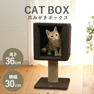 爪とぎ モダンルーム コンパクトにゃボックス 84195 ベッド 爪みがき 猫おもちゃ 猫 猫用品 子猫 こねこ 5kg以下 全猫種 ボックス 箱型 上下運動 ネコ かくれんぼ キャティーマン 玩具 おもちゃ