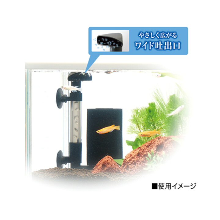 楽天市場】水槽 フィルタ— メダカ 飼育 アクアリウム メダカ元気 