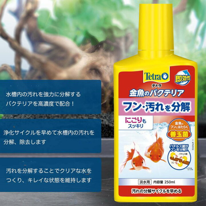 楽天市場 テトラ 金魚のバクテリア250ml 水質調整剤 ニオイ 汚れ 分解 ニゴリ にごり におい きんぎょ ふん フン D B Pet館 ペット館 楽天市場 テトラ 金魚のバクテリア250ml 水質調整剤 ニオイ 汚れ 分解 ニゴリ にごり におい きんぎょ ふん フン D B Pet館 ペット館
