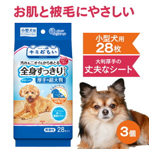 yő400~N[|IɂfCzy3Zbgzybgp EFbgeBbV Ȃ߂ĂS ܂Ƃߔ  唻 ^p 28 L~ SgV[g ybgp EFbg 