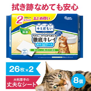 yő400~N[|IɂfCzy8ZbgzL~ OLCV[g 唻 i`O[̍26×2P  ybgp EGbg |  L 