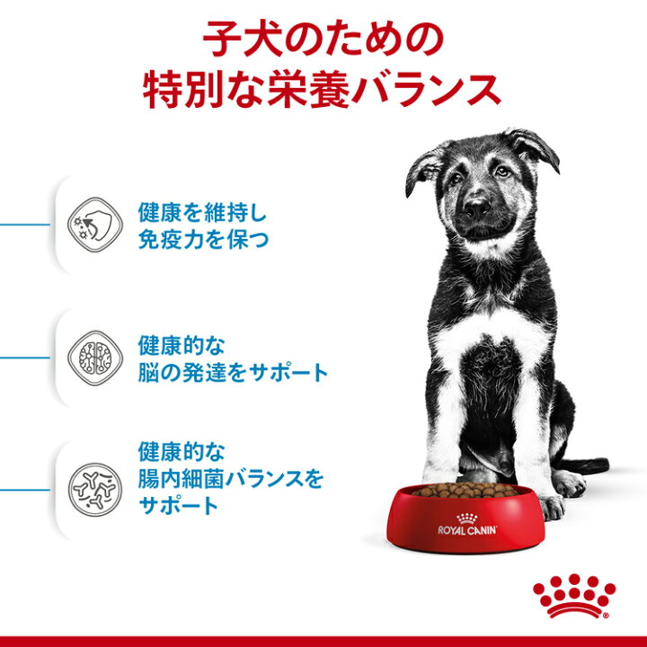 楽天市場】ロイヤルカナン マキシ パピー 15kg 犬 大型犬 子犬 フード