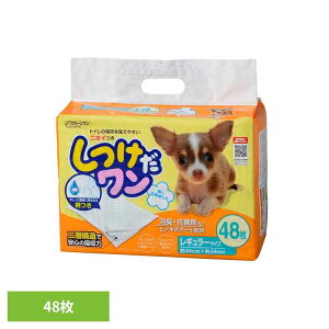 yő400~N[|IɂfCzN[@M[48 2790320 gC^[ M[TCY ybgV[g   V[c V[g ybg 