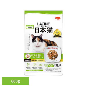 yő400~N[|IɂfCzV[l{L600g 1011072 {ybgt[h FY btďC Lbgt[h {ybgt[h