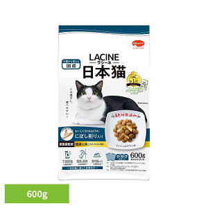 yő400~N[|IɂfCzV[l{Lɂڂ600g 1011314 {ybgt[h FY btďC Lbgt[h {ybgt[h