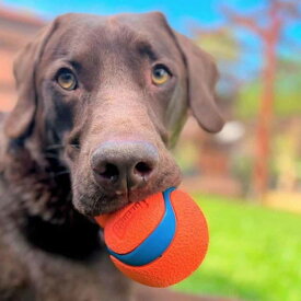 チャキット （Chuckit！） ウルトラタンブラー 33117Dペット ペット用品 犬 犬用 ボール遊び 犬用ボール 汚れない 犬ストレス解消 ドッグラン ボールランチャー