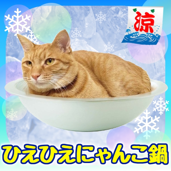 猫用 猫鍋 ひんやり マットの人気商品・通販・価格比較 - 価格.com