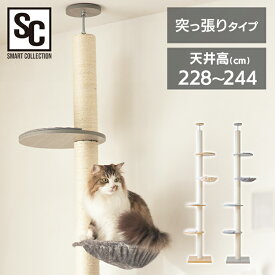 【店内全品P5★30日0時～9:59迄】キャットタワー 木登りキャットポール KCCT‐244送料無料 猫タワー 突っ張り キャットランド 猫ツリー 木製 省スペース 爪とぎ 多頭飼い シンプル ナチュラル グレー【AR対応】