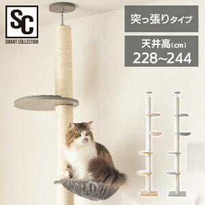 【最大400円クーポン★ワンにゃんデイ】キャットタワー 突っ張り 爪とぎ スリム 省スペース つっぱり 猫タワー 木登り ポール KCCT‐244 突っ張り 猫タワー おしゃれ インテリア キャットポー