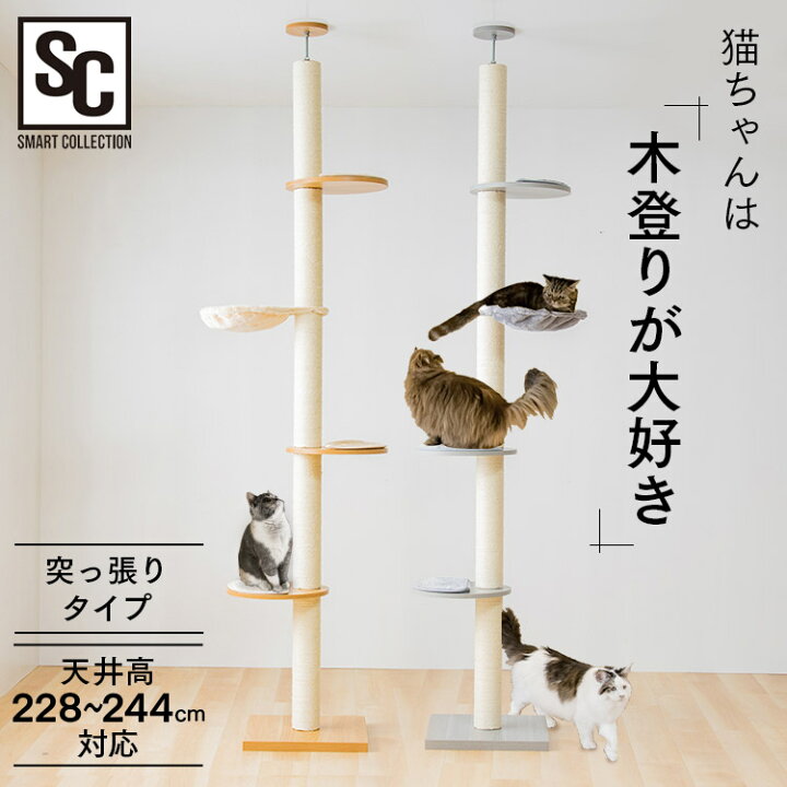 楽天市場】キャットタワー 突っ張り 爪とぎ スリム 省スペース 