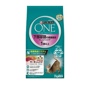 y3Zbgz si Lbg hCt[hLbgt[h JJ Lg qL A_g L VjA VL L 7 11 15 }`PA OCt[ D  얞 DP 