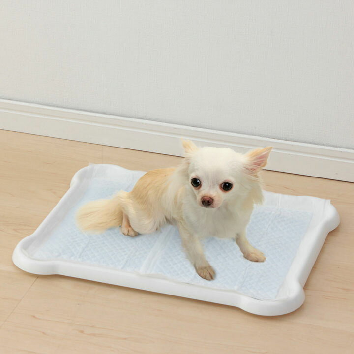 市場 Dog 自動水洗トイレトレー ハッピールー Dogtoto