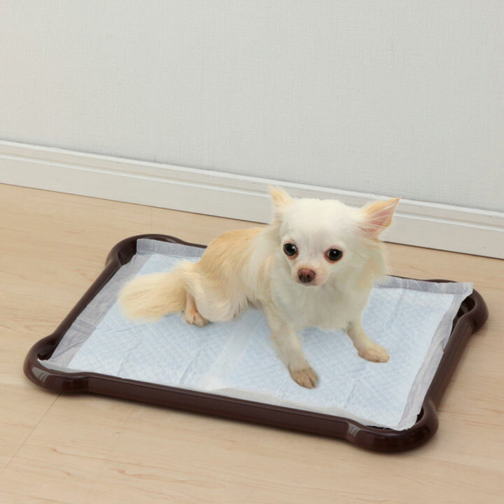 市場 Dog 自動水洗トイレトレー ハッピールー Dogtoto