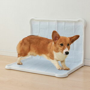 yő400~N[|IɂfCzgCg[ Ch  V[c҂ƃg[ _u P-SPTD zCg uE gC gC{ gCe ybgpi pi pgC ȒP