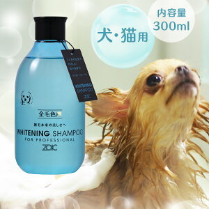 yő400~N[|IɂfCzVv[ ybg ]CbN ZOIC N zCgjOVv[ KRȉ  L  n[gh 300ml[AA]yTCz