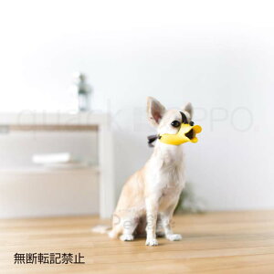 yő400~N[|LI炵ɃvXzyBzOPPO quack SS  OT-668-005-4 ΂^ ̂ ʖi ݂ VR ΂^ ʖi ΂^ VR ̂ ʖi 