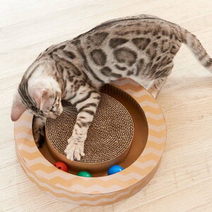 ܂Ƃ ܌  lV {[ L ܂Ƃ _ 킢 ߋ ܂Ƃ V L ܂Ƃ g[C nyancoroby box {bNX^Cv i Lbgjbv ˂ Lbg ߂Ƃ ی^ XgX 