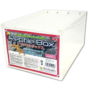 yő400~N[|ɂfCzP[X ঒ GL] t^t v^C{bNX E22[LP]yTCz