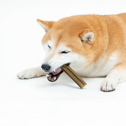 楽天市場 Olivepet ナチュラルデンタルガム トライアル エクストラバージンオリーブオイル入り オーラルケア ペットフード ドッグフード 犬 歯磨きガム 犬用おやつ デンタルケア 犬用ガム 犬用品 ラブリー ペット商事 Xs3本 S2本 M1本 Tc Pet館 ペット館