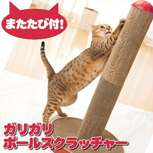 ܂Ƃ ܌ |[ L  ܂Ƃ ܌ i{[ ߂Ƃ KK XNb`[ GCNGCc Mju: ~[ GCNGCc ܂Ƃ x ܖ lC   yb